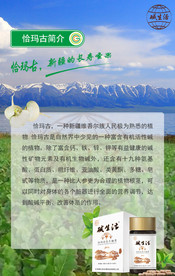 天山 恰玛古 公司简介