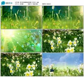 夏日里的滴滴调 舞台背景视频