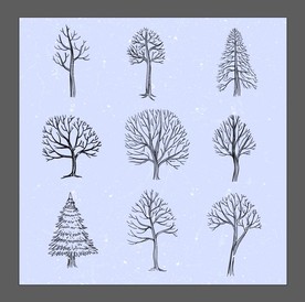 矢量冬季树木插画设计