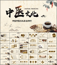 中药中医文化养生ppt
