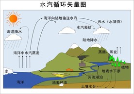 大汽循环矢量图
