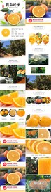橙子详情页