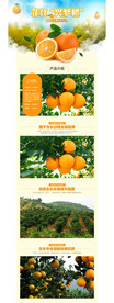 橙子详情页