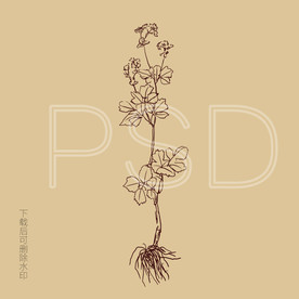 线描唐草图片大全 线描唐草设计素材 线描唐草模板下载 线描唐草图库 昵图网soso Nipic Com