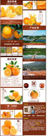 橙子详情页