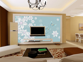 背景墙 3D电视墙