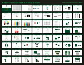 全套VIS视觉系统