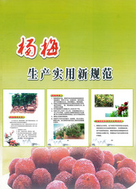 杨梅种植技术实用规范