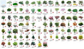 SU真实植物素材