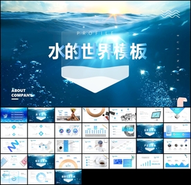 水资源水利局工作汇报计划PPT