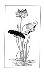 吉祥图案 中国纹样 吉祥底纹