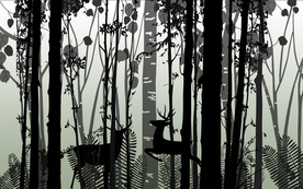 北欧森林麋鹿背景 麋鹿森林