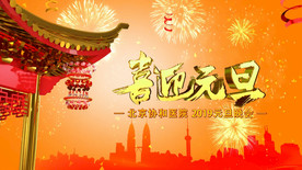 2019猪年元旦春节片头模板