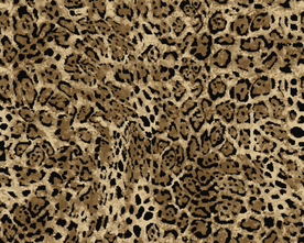 创意抽象AI矢量素材图片