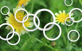 野菊花3D现代背景墙
