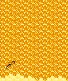 蜂巢