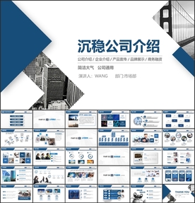精美上市公司企业简介PPT