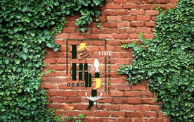 珍惜时光藤蔓红砖工装背景墙