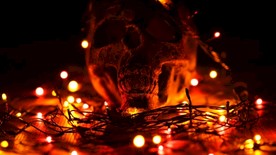 干头 骨架 恐怖