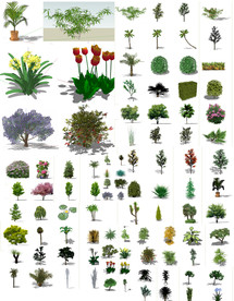 植物绿化模型