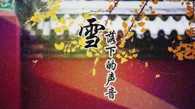 延禧攻略《雪落下的声音配乐成品