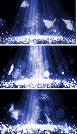 蝴蝶翩翩粒子光斑循环背景