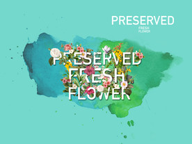 永生花插画鲜花海报