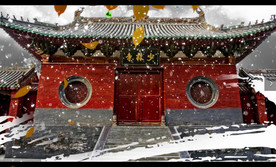 少林英雄少年功夫武术开场演出背