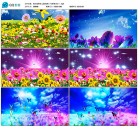 我们是鲜花 舞台舞美背景视频