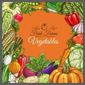 矢量商超手绘蔬菜系列