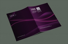 企业艺术弧线封面