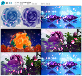 你是我的玫瑰花 舞台背景视频