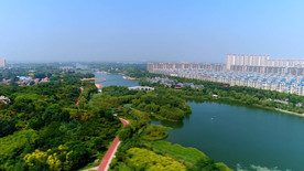 大美生态魅力淄博