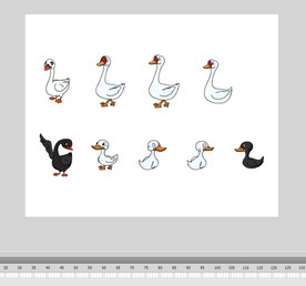 FLASH鸭子动物天鹅