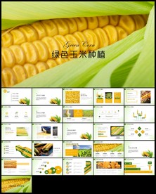 金色玉米绿色果类有机玉米ppt