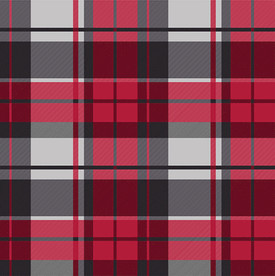 格子纹 格子布 红格子面料