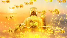 《来生愿做一朵莲》魏新雨歌曲