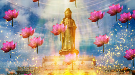 《来生愿做一朵莲》伴奏版