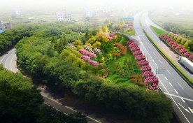 高速公路绿化提升改造效果图