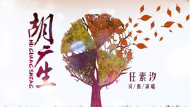 《胡广生》任素汐歌曲配乐