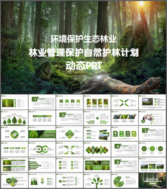 环境保护生态森林森业PPT