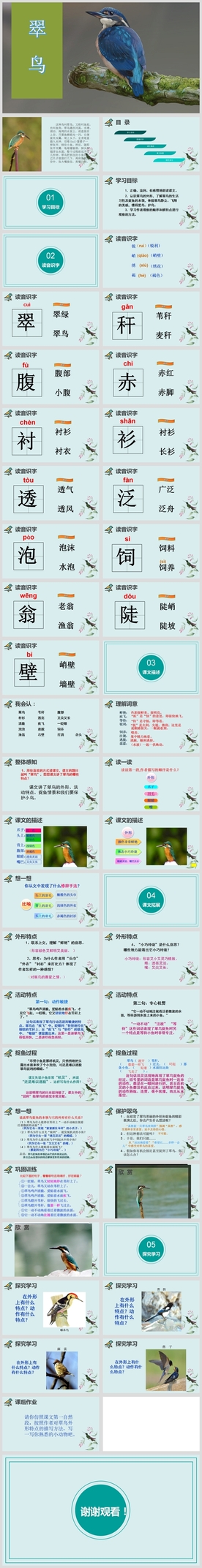 小学语文课文《翠鸟》教育教学