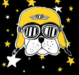 狗 抱枕 枕头图 床单 星星