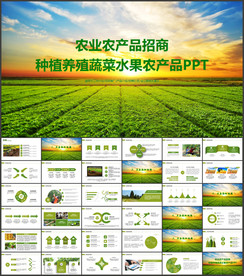 农业农产品招商宣传PPT