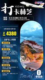 西藏 林芝 桃花 布达拉宫