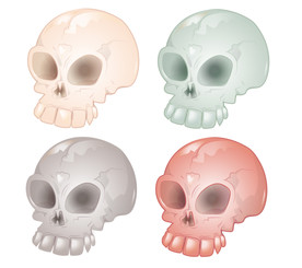 骷髅头盖骨头部人体骨骼骨头骨架