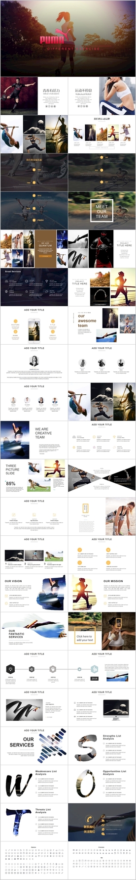 高端彪马PUMA商业计划书PP