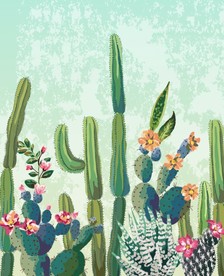 仙人掌植物插画插图