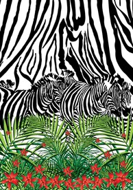 抽象斑马插画插图