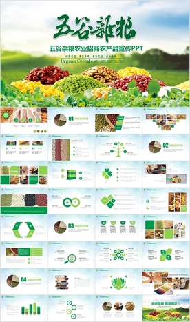 五谷杂粮农产品介绍宣传PPT